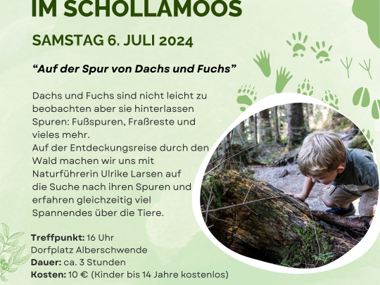 Auf der Spur von Dachs und Fuchs